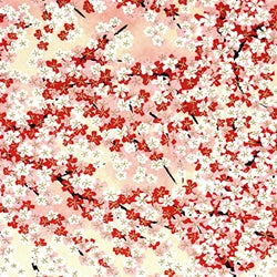 "Little Box of Joy" - Gift set of 10 handmade cards